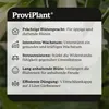 ProviPlant Engeltrompetendünger – 1 Liter Spezialdünger Produktbild-Vorschau 4