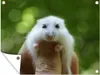MuchoWow® Produktbild-Vorschau 1