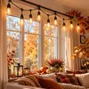 MasterLED LED Lichterkette Außen 10 m 230 V mit 10 x E27 Produktbild-Vorschau 3