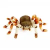 Plüsch Vogelspinne 21cm Spinne Realistisch Premium Deko Produktbild-Vorschau 6
