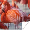 MuchoWow® Poster Flamingo - Vogel - Tiere - Rosa 100x100 cm Produktbild-Vorschau 1