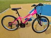 Dino Bikes 8006817906261, Mountainbike, Erwachsene, Unisex, Produktbild-Vorschau 3