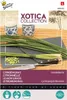 Semena citronové trávy Buzzy Xotica - cca 0,2 gr | Náhled obrázku produktu 2