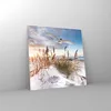 Bilder auf glas - Einteilig - Möwe Meer Küste - 30x30cm - Produktbild-Vorschau 4