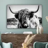 OneMillionCanvasses® - Plátno - Skotský horal - Příroda - Náhled obrázku produktu 4