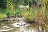 Pontec PondoStar Lily Island 150 l/h, Solarwasserspiel Produktbild-Vorschau 3