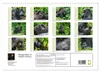 Berggorillas im Herzen Afrikas (Wandkalender 2027 DIN A3 Produktbild-Vorschau 2