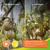 BioGreen Gewächshausventilator Arizona mit 420 m³/h Produktbild-Vorschau 6