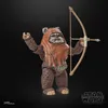 A Star Wars Black Series Wicket figure holding a bow and arrow against a black background. Anteprima dell’immagine prodotto