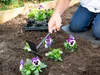 BLACK & DECKER Grubber/Hacke, 33 cm Produktbild-Vorschau 5