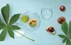 Herbatint Feuchtigkeitsspendender Conditioner für trockenes Produktbild-Vorschau 4