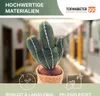 TOPANBIETER 999 Türstopper Kaktus Bodenstopper Türsack Deko Produktbild-Vorschau 3