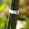 100 Stück Tomatenclips, Pflanzenclips, Wachstumsclips für Produktbild-Vorschau 3