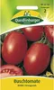 Quedlinburger Saatgut - Buschtomaten Roma VF - Samen - Produktbild-Vorschau 7