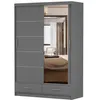 A gray sliding door wardrobe with a mirror on the right door, placed against a white background. Voir les images du produit