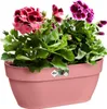 Blumenampel Elho Vibia Kunststoff 35 x 16,2 x 14,8 cm rosa Produktbild-Vorschau 2