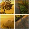 Bild auf Leinwand - Leinwandbild - Feld Straße Baum - Produktbild-Vorschau 8