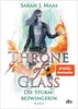 Book cover art featuring a female warrior with magical powers. Produktbild-Vorschau