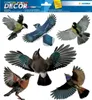 HERMA Oiseaux d'avertissement, image de fenêtre 30x30cm Voir les images du produit 3