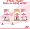 Royal Canin BABYCAT INSTINCTIVE - Nassfutter für Katzen - Produktbild-Vorschau 12