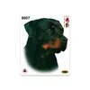 Adesivo Rottweiler 14 x 16 cm Anteprima dell’immagine prodotto 1