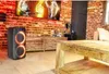 IBIZA FREESOUND400 Akku aktiv Lautsprecher Box 400W LED Produktbild-Vorschau 14