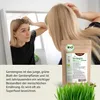 Achterhof Gerstengras Kapseln Nachfüllpack (400 Kapseln) Produktbild-Vorschau 3