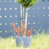 Gartendeko Gartenstecker aus Edelrost Metall Hummer 2er Set Produktbild-Vorschau 2