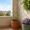 KADAX Bambusstäbe in U-Form, 75cm x 10/12mm x 15cm, 10er Produktbild-Vorschau 5