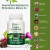 Liver Support (120 Kapseln) Nahrungsergänzungsmittel, Produktbild-Vorschau 6