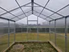 Polycarbonat Gewächshaus „Victoria“ 3x8m aus Stahl, mit 6mm Produktbild-Vorschau 7