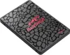 Apacer AS350 Panther SSD 256GB/ SATA III/ Full Capacity Voir les images du produit 5