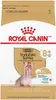 ROYAL CANIN BHN Yorkshire Aging 8 3kg Futter Produktbild-Vorschau 2