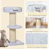 PawHut Katzenbaum Spielbaum Kratzstamm mit Plattform Sisal Produktbild-Vorschau 5