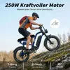 E-Bike Cityrad MX10 E-Fahrrad 648WH Pedelec, 48V 13,5 AH Produktbild-Vorschau 3