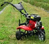 CEDRUS GL05 GLEBOGRYZARKA SPALINOWA KULTYWATOR  3 BIEGI / 7 Podgląd zdjęcia produktu 3