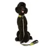 Doog Neon Leine mit Klickverschluss Produktbild-Vorschau 6