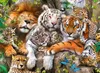 Ravensburger Plyšové kočky dravé Náhled obrázku produktu 2