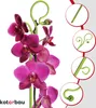 KOTARBAU® Sada 6 podpěr pro rostliny zelená PVC 58 cm Náhled obrázku produktu 6