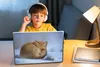 MuchoWow® Laptop Aufkleber Sticker Cover Amerika - Fuchs - Produktbild-Vorschau 3