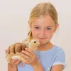 Teddy-Hermann Teddy Hermann Schildkröte, ca. 20cm 901143 Anteprima dell’immagine prodotto 2