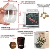 GROW2GO Dein eigener Zwergkaffee Strauch zum selber Produktbild-Vorschau 2