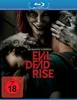 Evil Dead Rise Blu-ray | Horrorfilm | FSK 18 | 2023 Produktbild-Vorschau 2