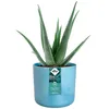 elho® Ocean Übertopf Atlantikblau Ø 14 cm aus Kunststoffen Produktbild-Vorschau 5