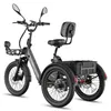 FAFREES F20 Mate II Rower elektryczny - Silnik 250W Podgląd zdjęcia produktu 3
