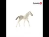 Schleich Horse Club        13860 Holsteiner Fohlen Produktbild-Vorschau 7
