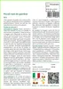 SAFLAX  - Piccoli nani da giardino - 1000 semi - Mix Anteprima dell’immagine prodotto 3