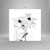 Bilder auf glas - Einteilig - Verwelkt Blumen Monochrom - Produktbild-Vorschau 3