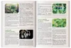 El Libro de Los Remedios Herbales Olvidados: El Poder Vista previa de la imagen del producto 7