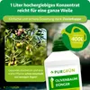 Purgrün Olivenbaum-Dünger 1 Liter, Produktbild-Vorschau 4